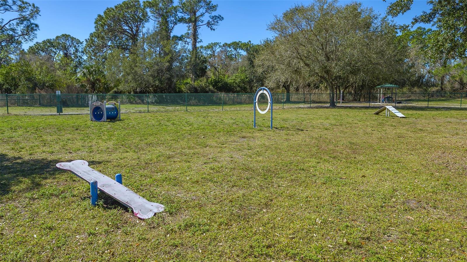 6433 BLUE GROSBEAK CIR, LAKEWOOD RANCH, FL — photo 62
