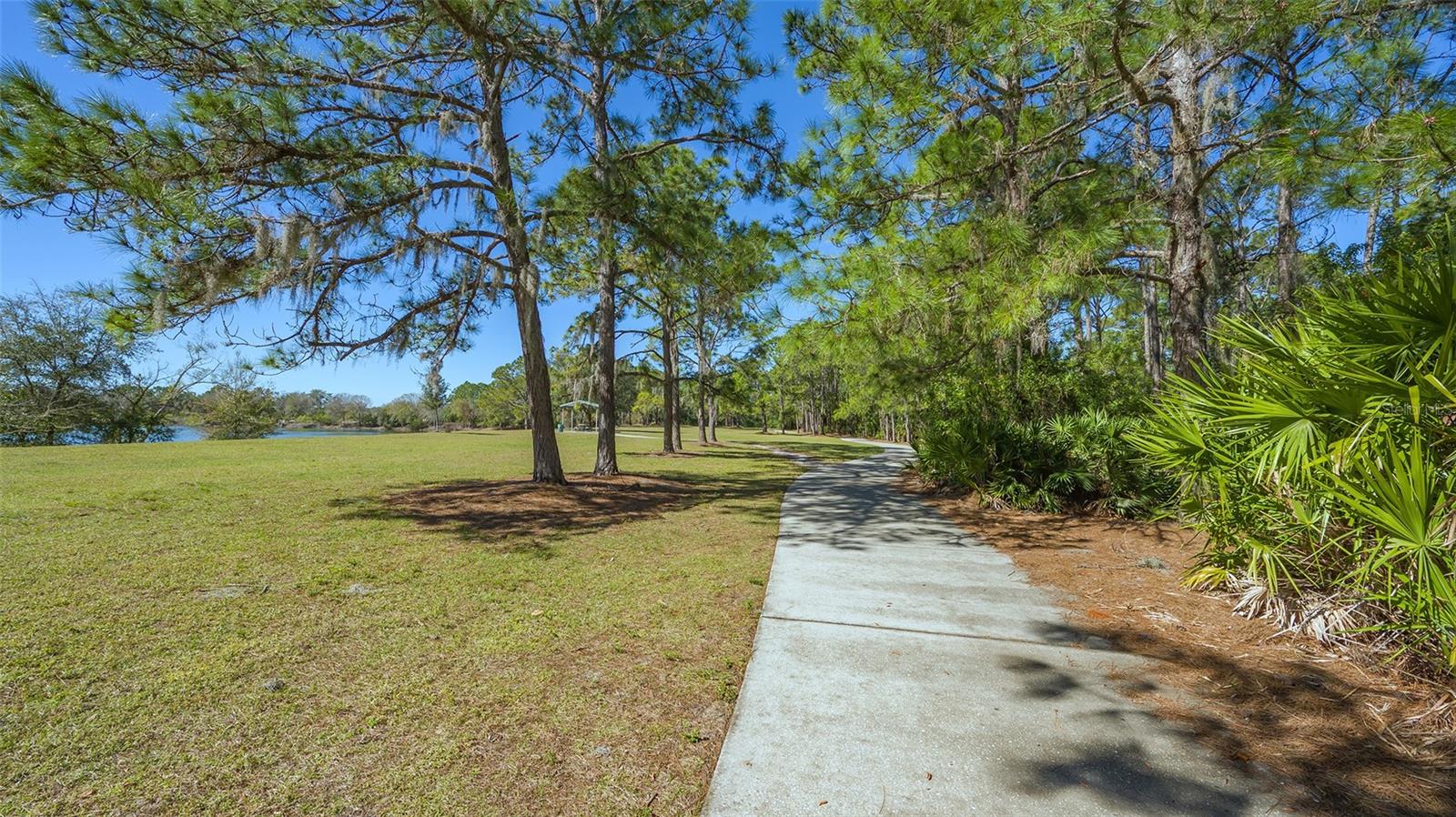 6433 BLUE GROSBEAK CIR, LAKEWOOD RANCH, FL — photo 63