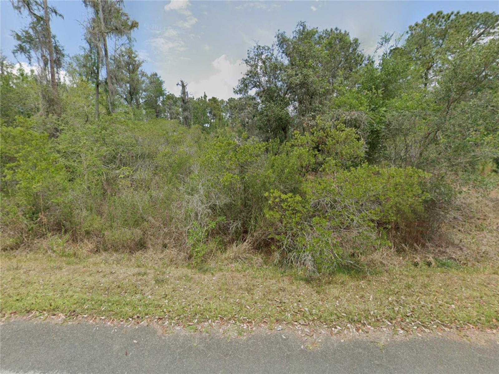 9474 N BONSAI AVE, CRYSTAL RIVER, FL