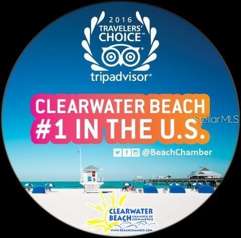 1460 GULF BLVD #411, CLEARWATER BEACH, FL — photo 41