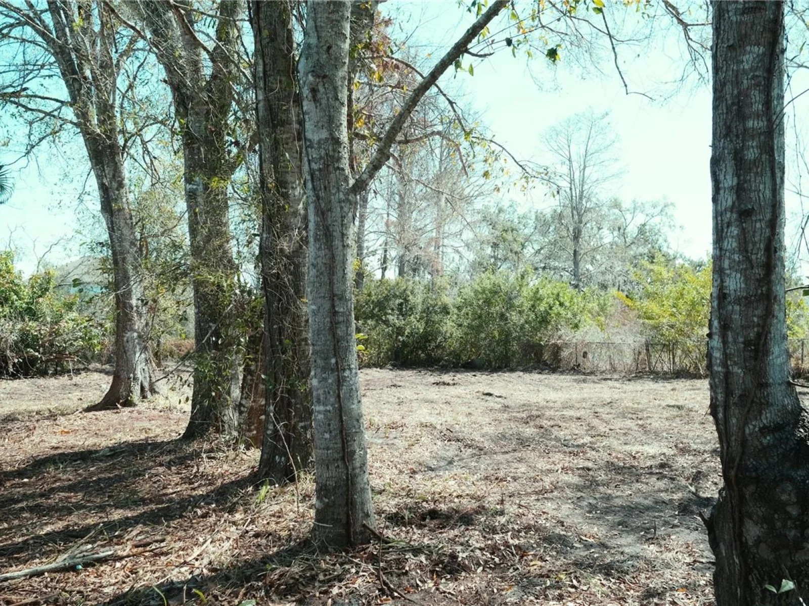00 N LOCKWOOD RIDGE RD, SARASOTA, FL — photo 8