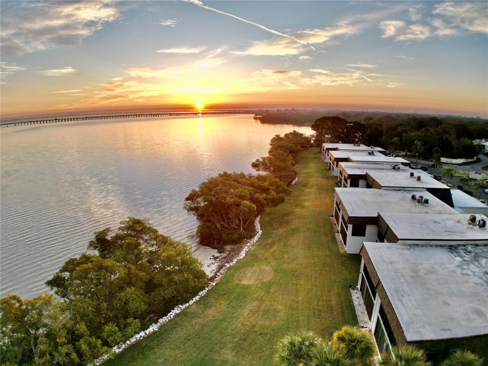 2980 HAINES BAYSHORE RD #124, CLEARWATER, FL — photo 2