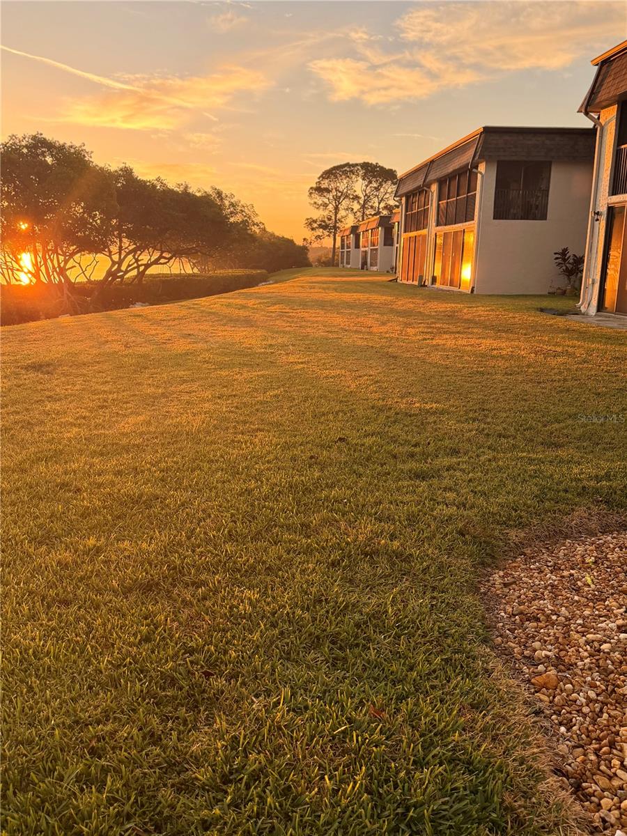 2980 HAINES BAYSHORE RD #124, CLEARWATER, FL — photo 4
