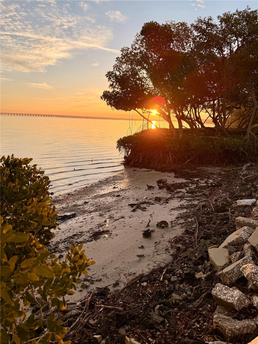 2980 HAINES BAYSHORE RD #124, CLEARWATER, FL — photo 5