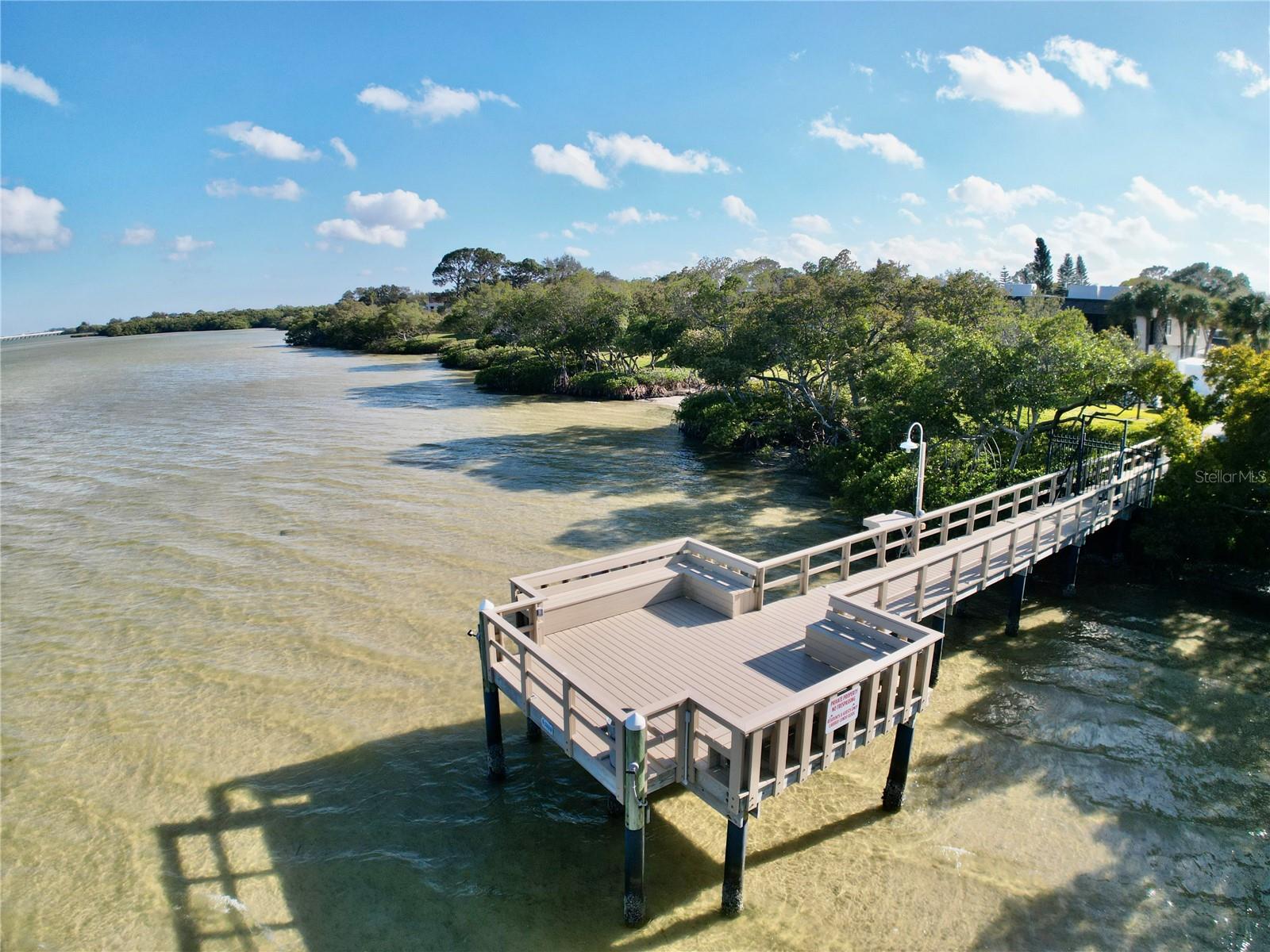 2980 HAINES BAYSHORE RD #124, CLEARWATER, FL — photo 6