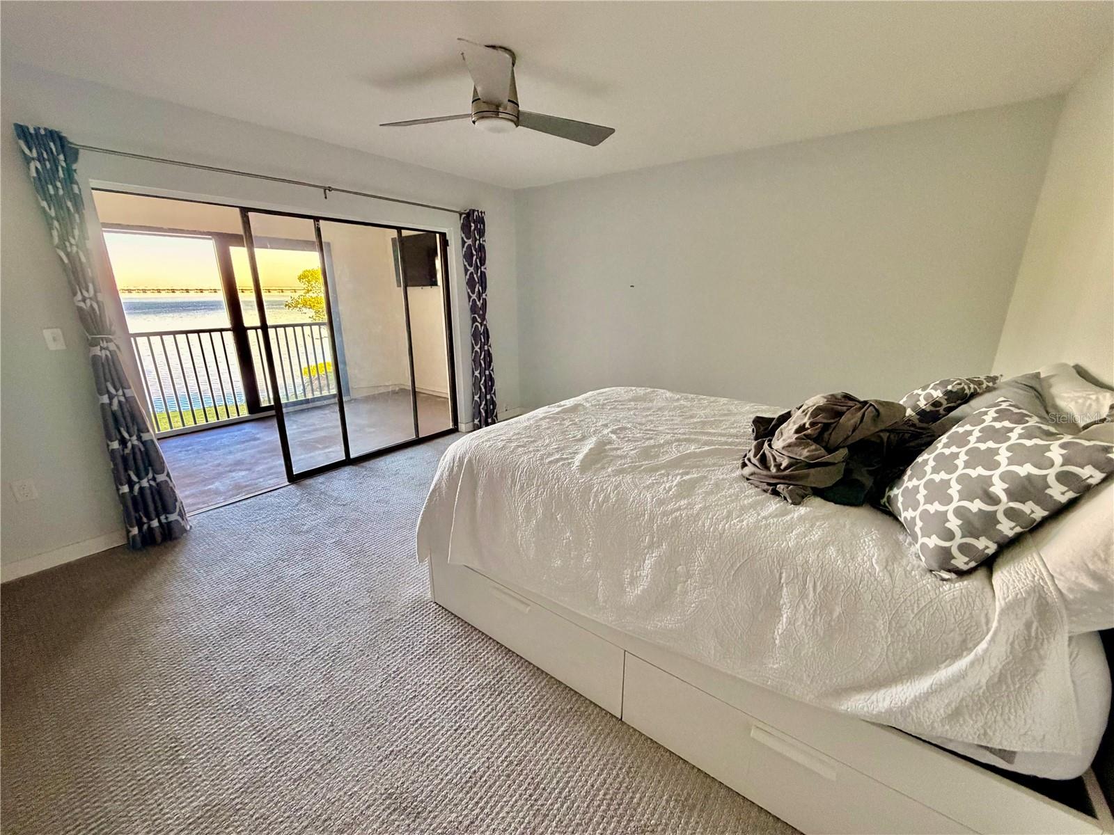 2980 HAINES BAYSHORE RD #124, CLEARWATER, FL — photo 13