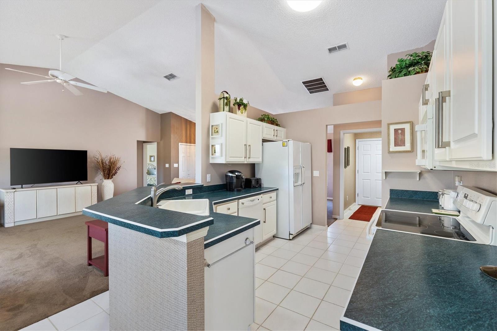 3909 RIVER CREST CIR, LEESBURG, FL — photo 30