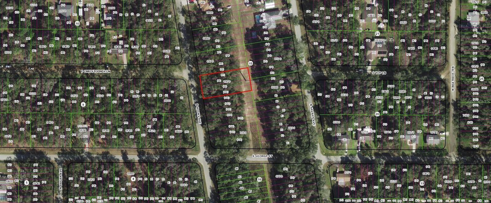 913 N ROOKS AVE, INVERNESS, FL — photo 2