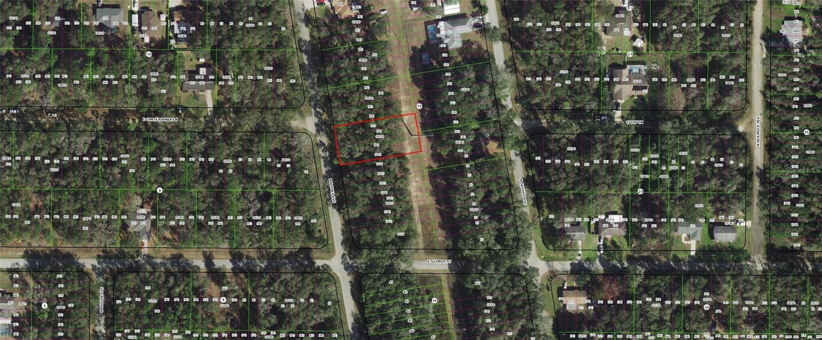 913 N ROOKS AVE, INVERNESS, FL — photo 3