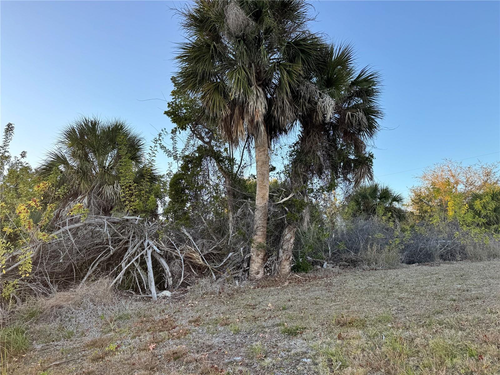 15512 LAKELAND CIR, PORT CHARLOTTE, FL — photo 17