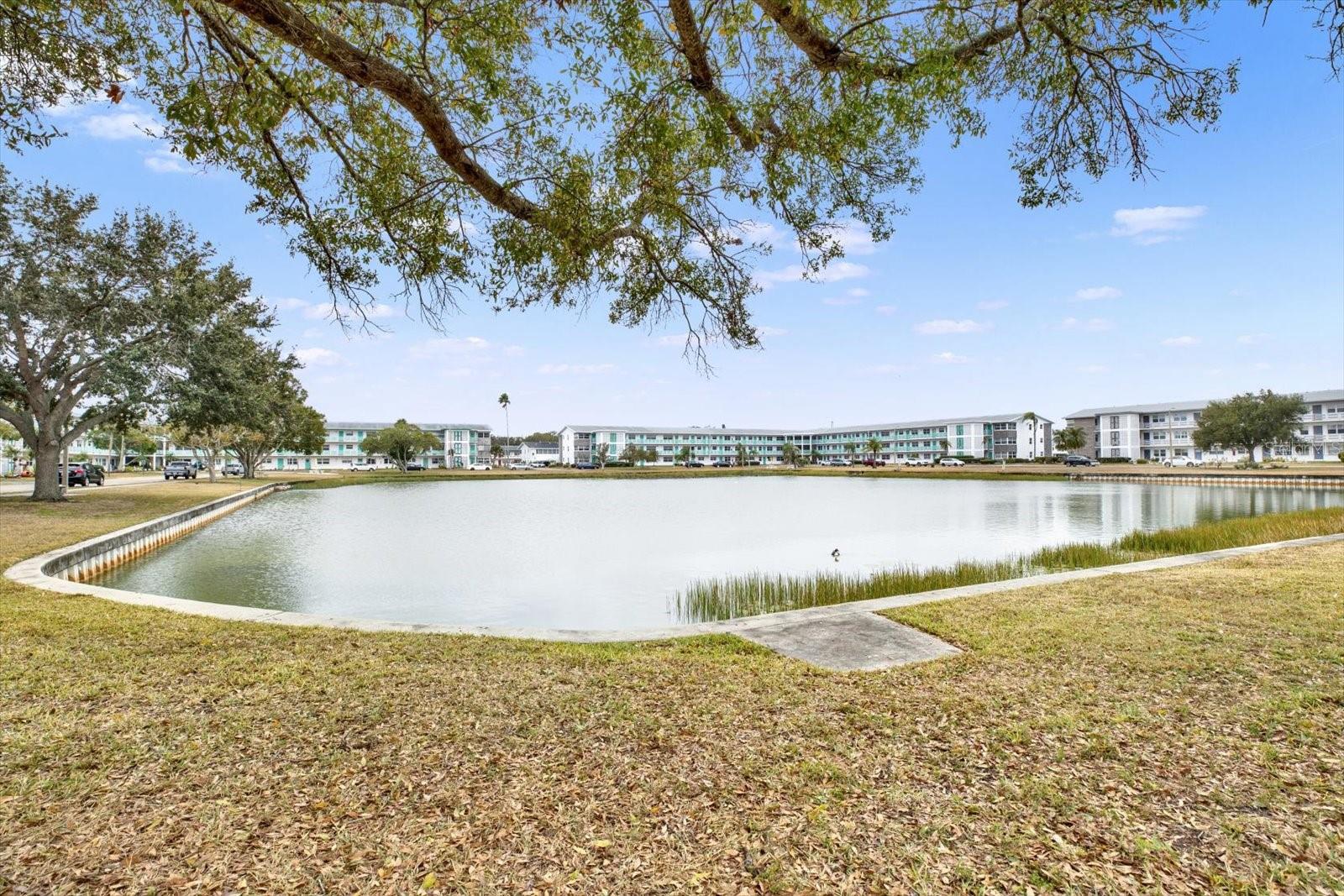6015 19TH ST N #216, ST PETERSBURG, FL — photo 14