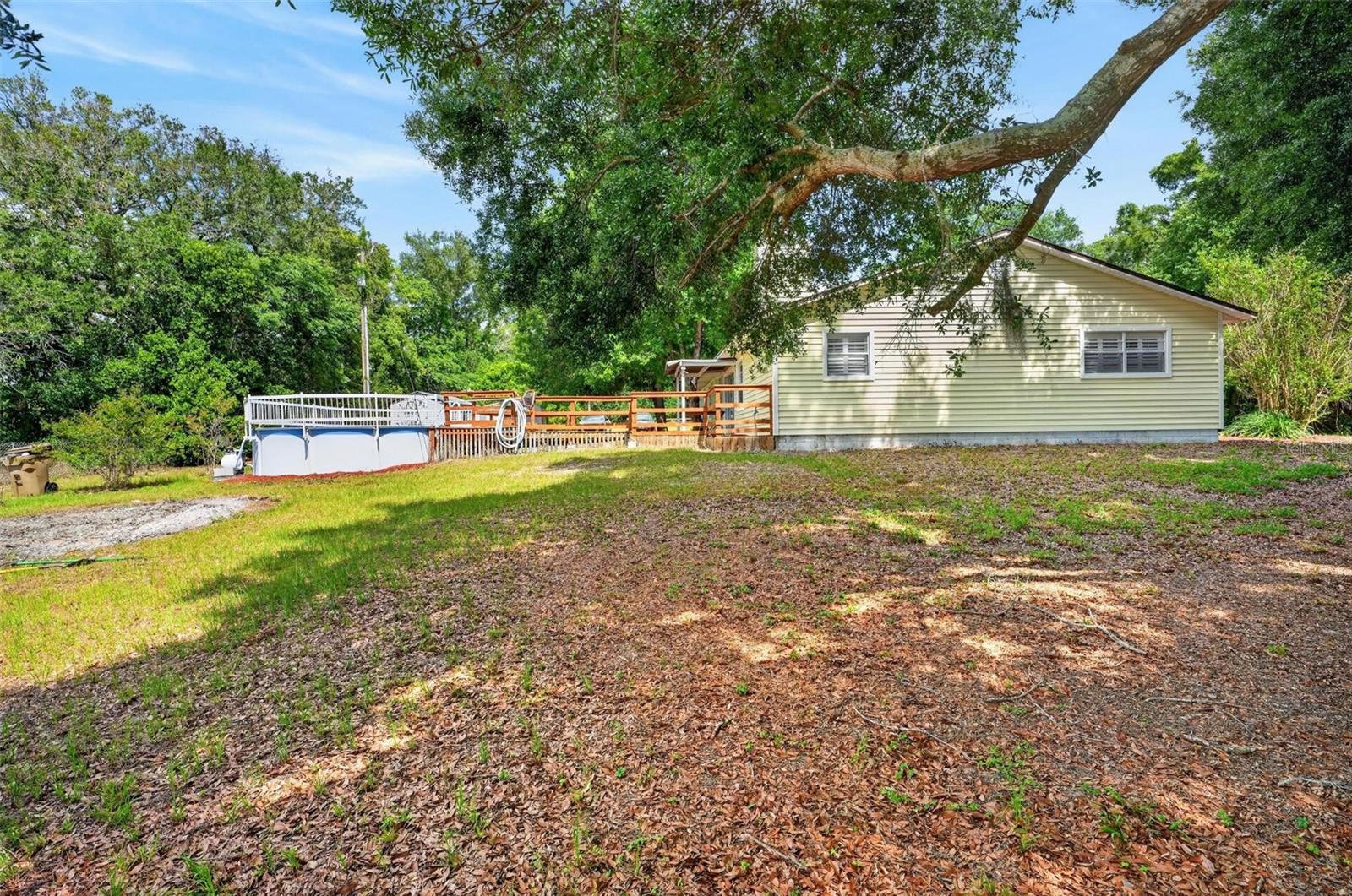 317 TOMATO HILL RD, LEESBURG, FL — photo 15