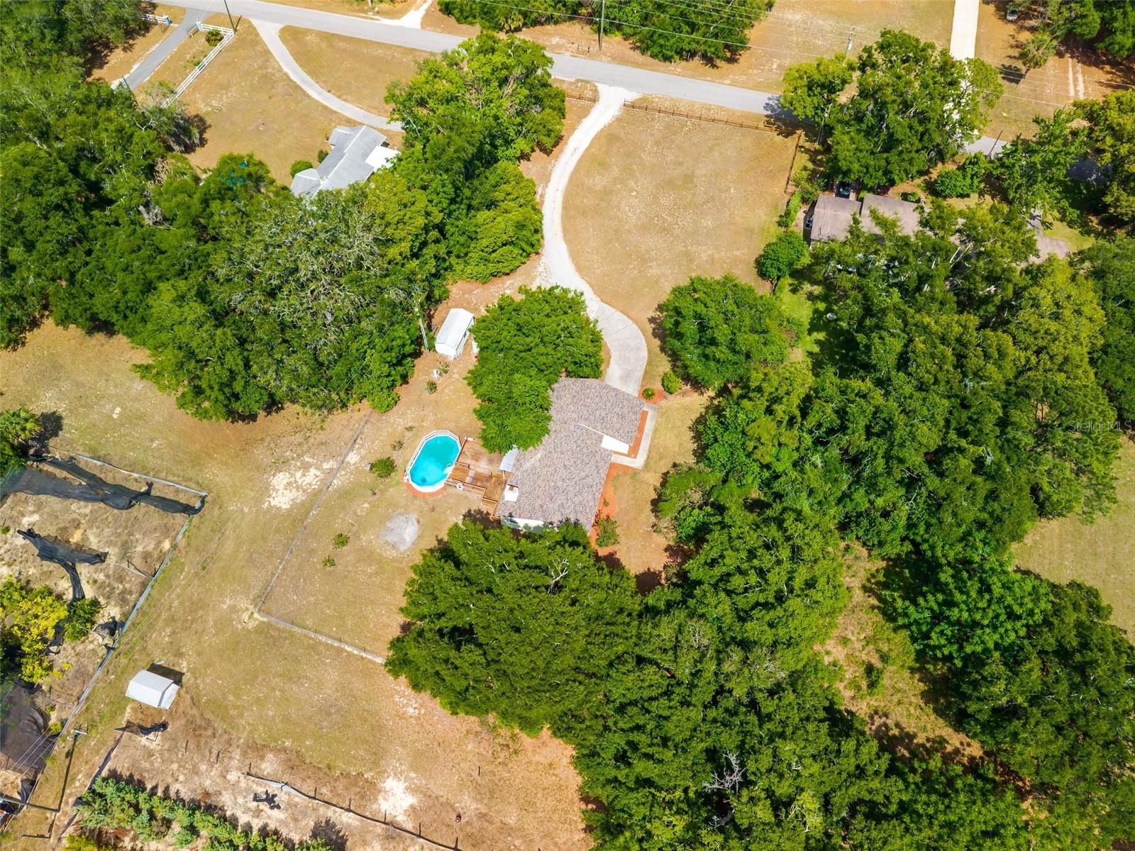 317 TOMATO HILL RD, LEESBURG, FL — photo 32