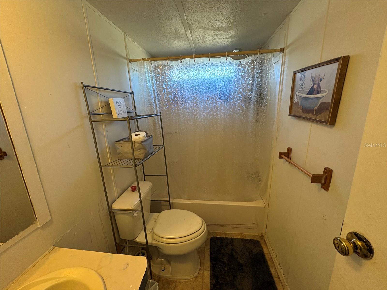 41700 SHADOW, DELAND, FL — photo 37