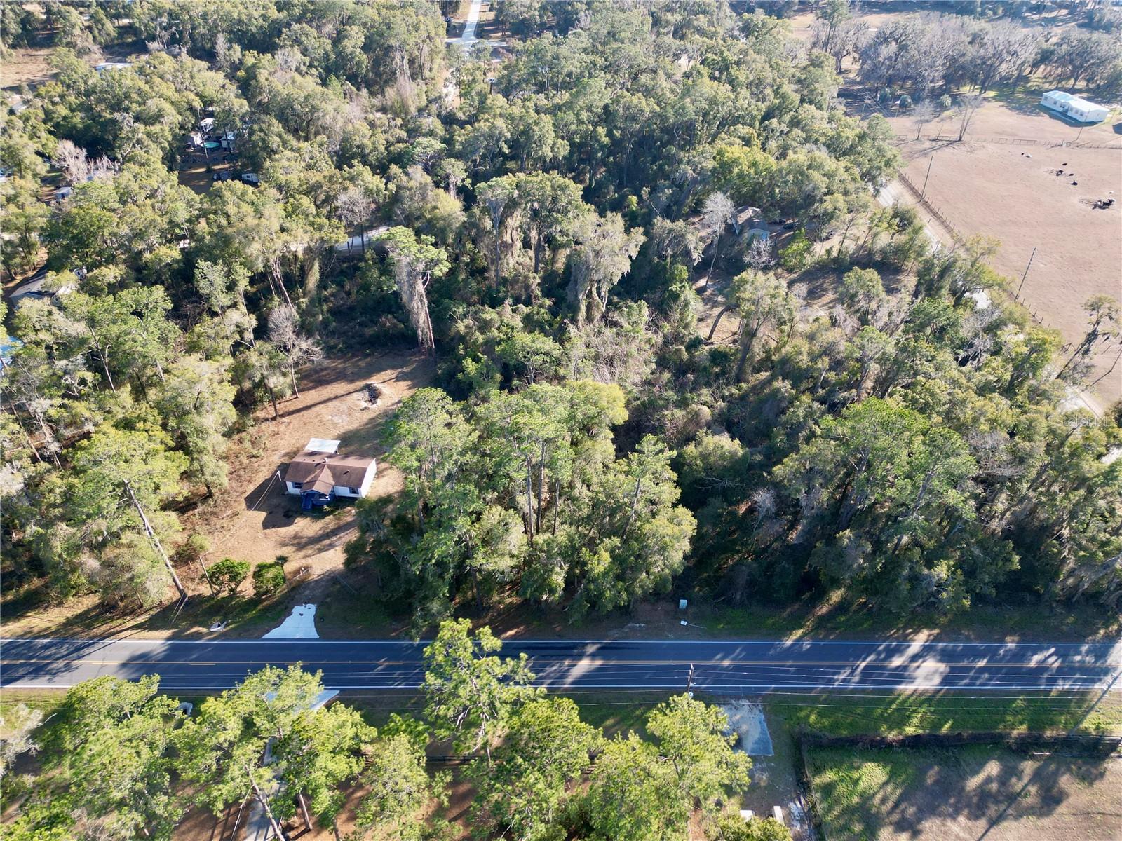 TBD W HWY 328, OCALA, FL — photo 7