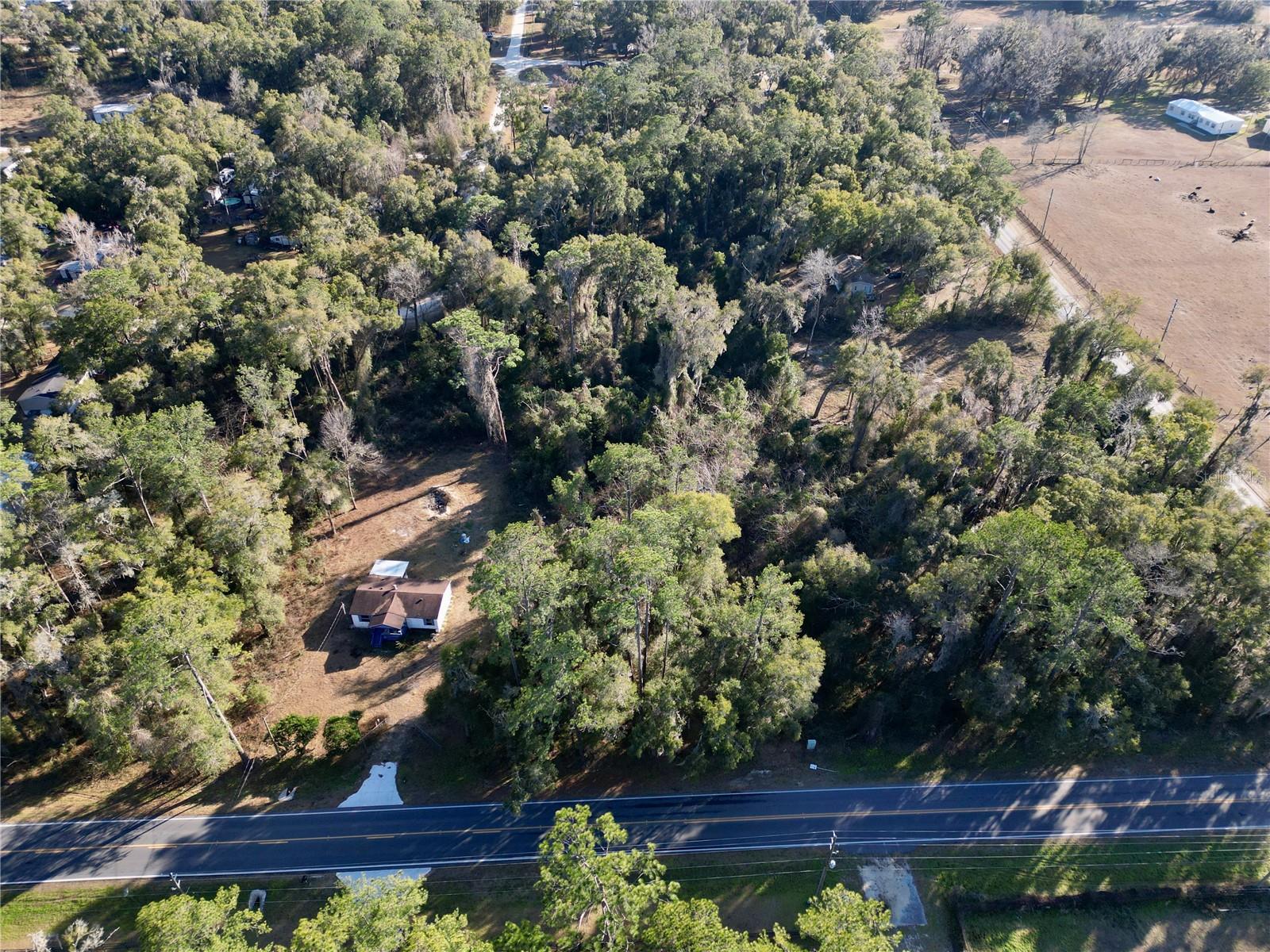 TBD W HWY 328, OCALA, FL — photo 11
