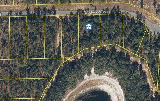 115 WESTWOOD CT, INTERLACHEN, FL
