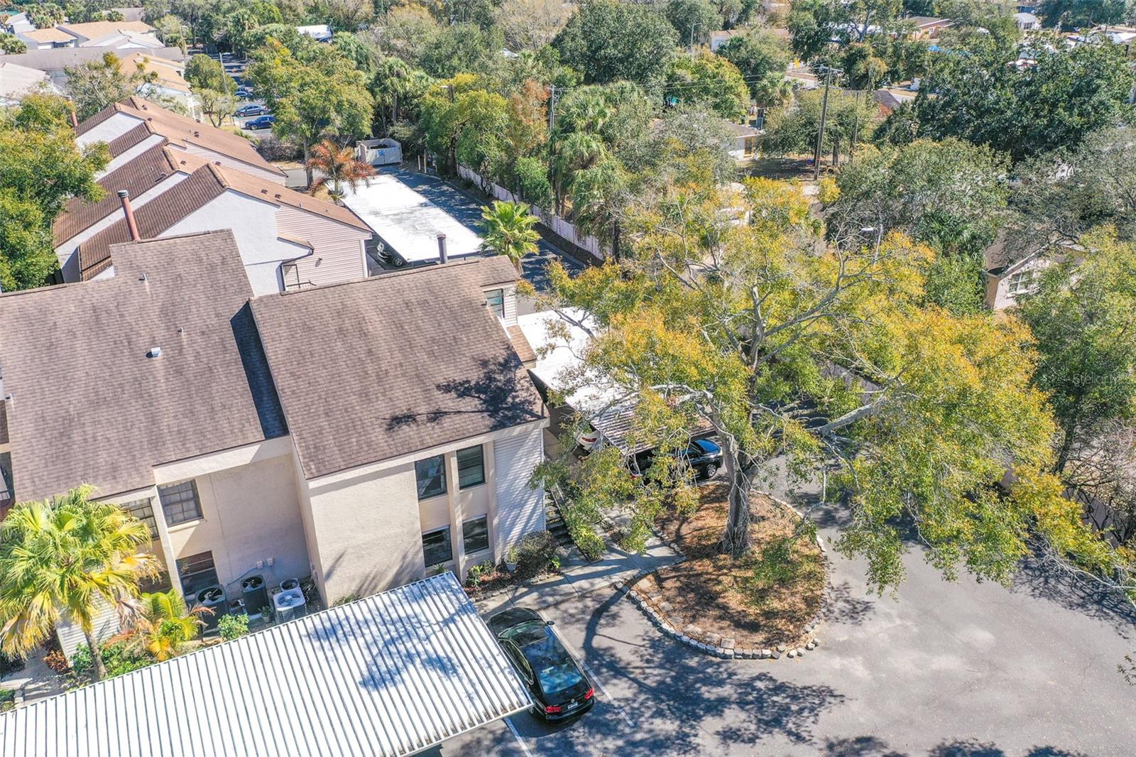 4837 PURITAN CIR ##2505, TAMPA, FL — photo 23