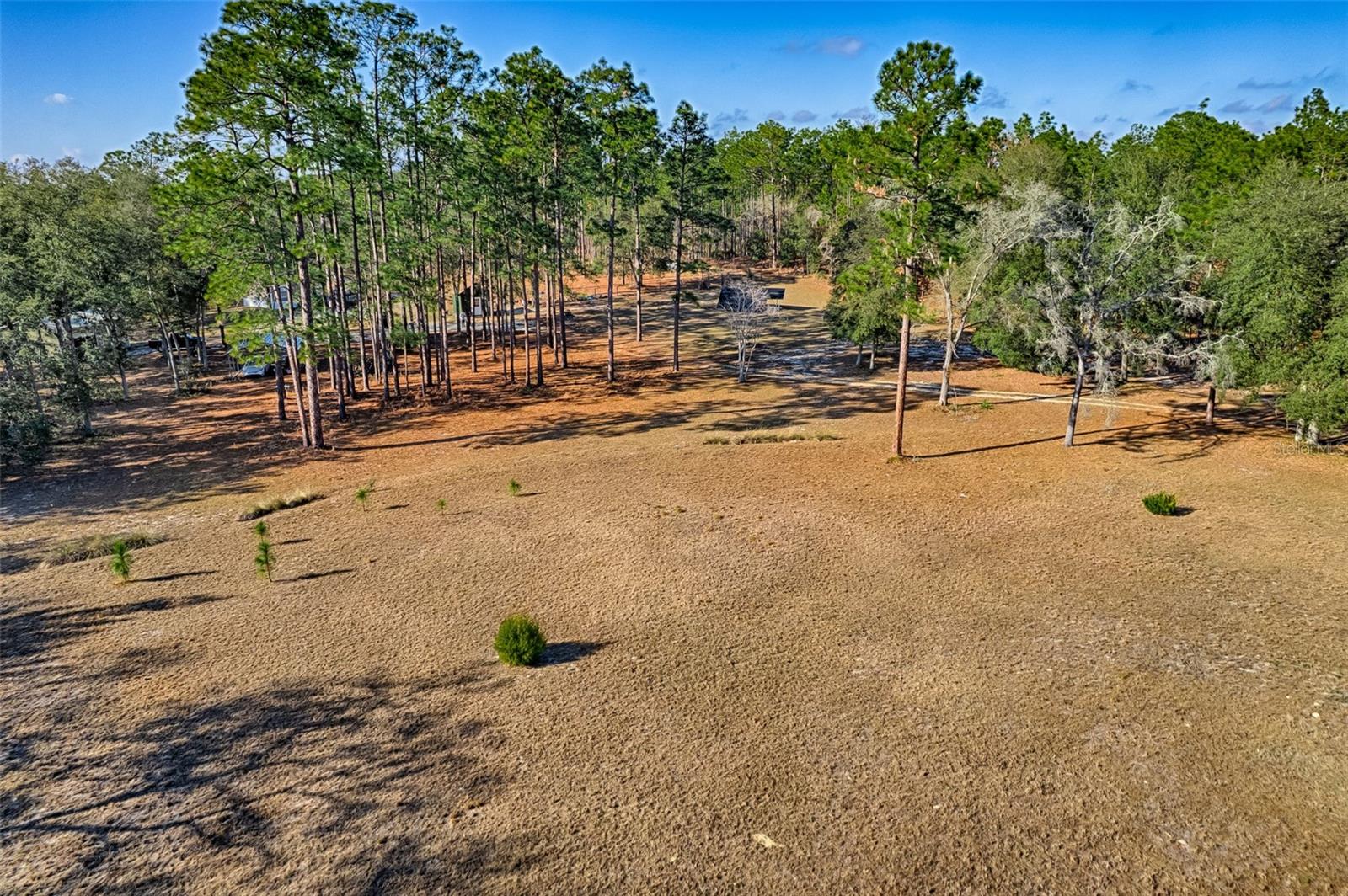 152 PIPER DR, HAWTHORNE, FL — photo 36