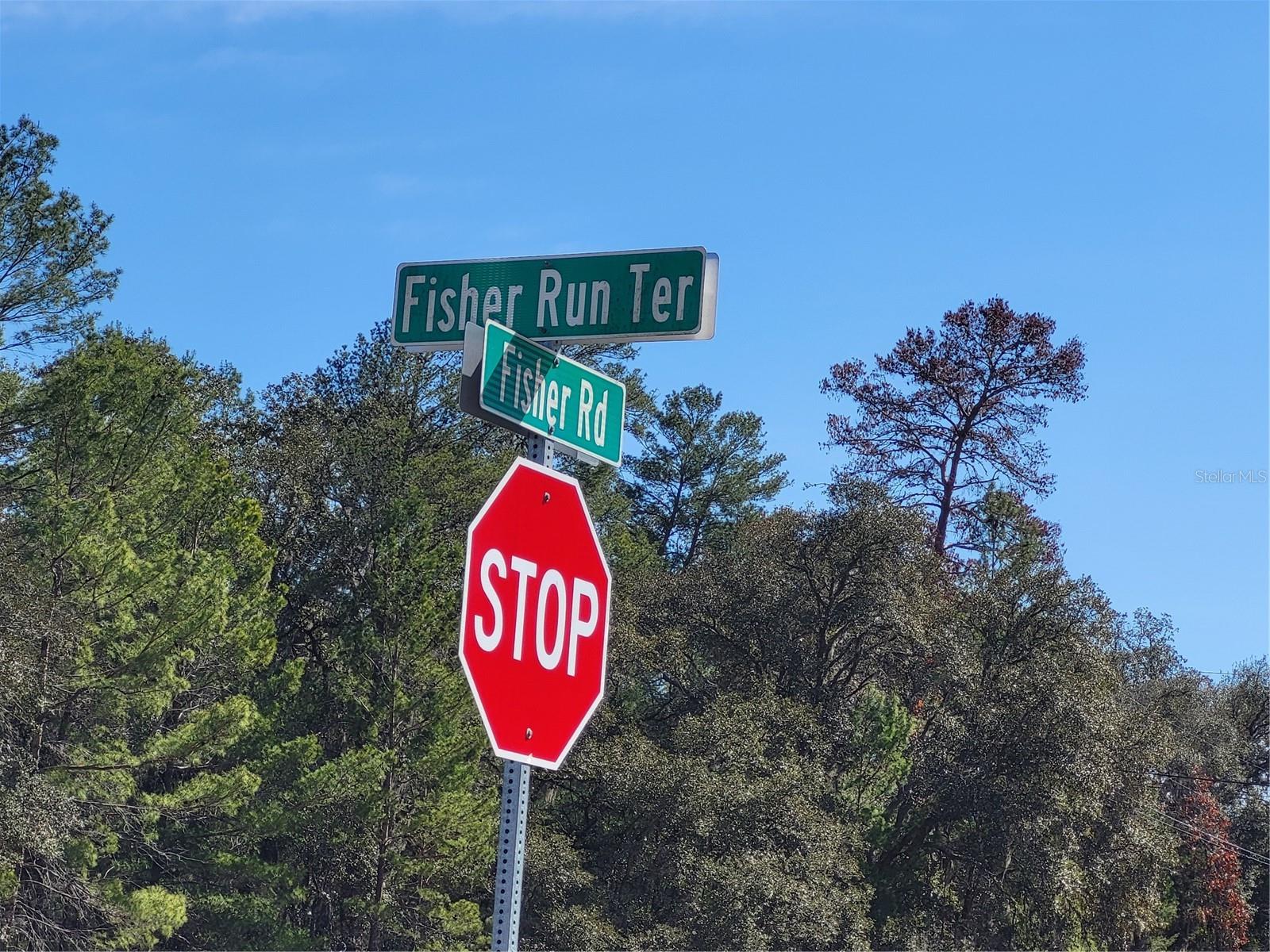 TBD SE FISHER RUN TERRACE #LOT 15, OCALA, FL — photo 3