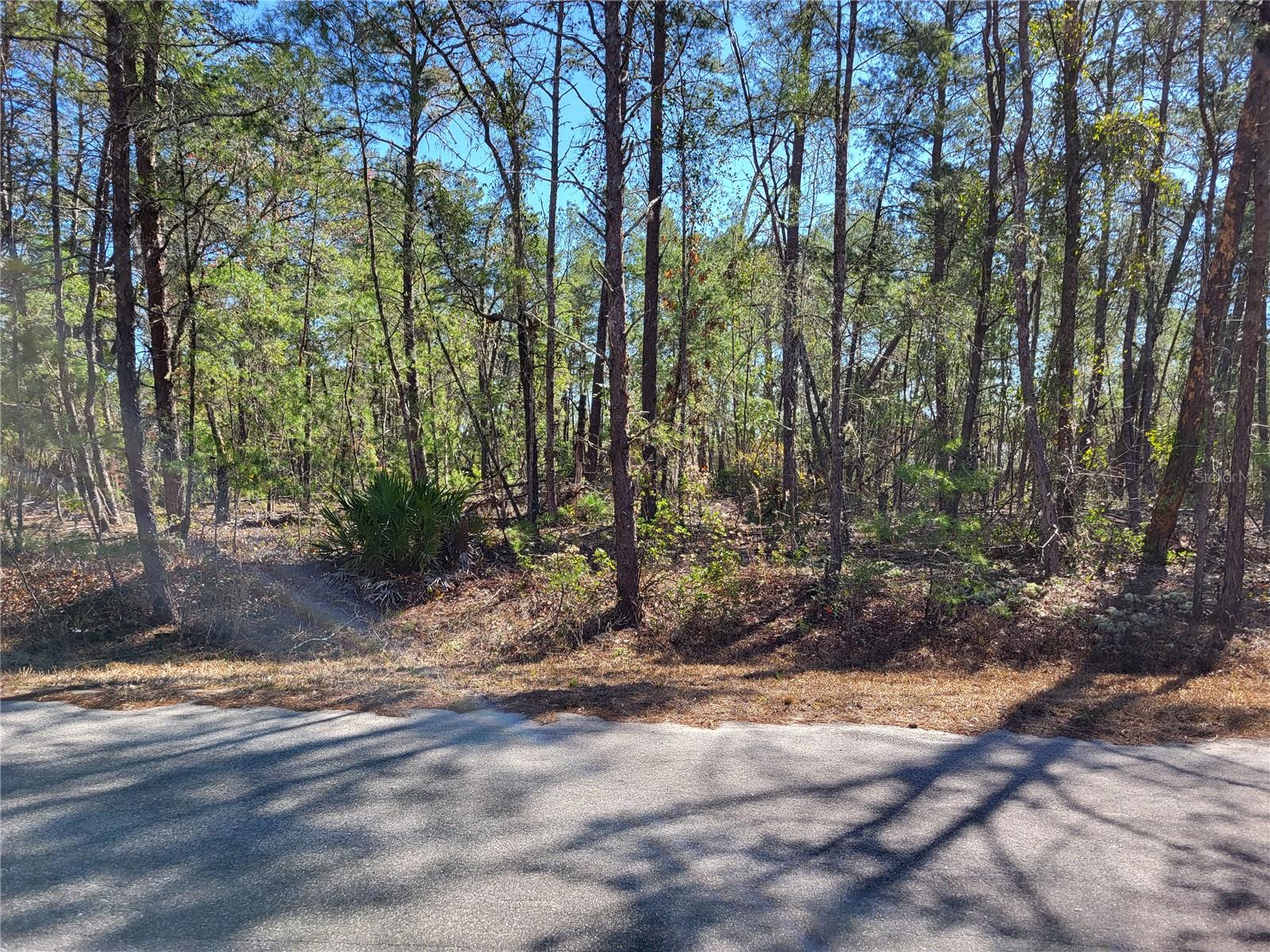 TBD SE FISHER RUN TERRACE #LOT 15, OCALA, FL — photo 4