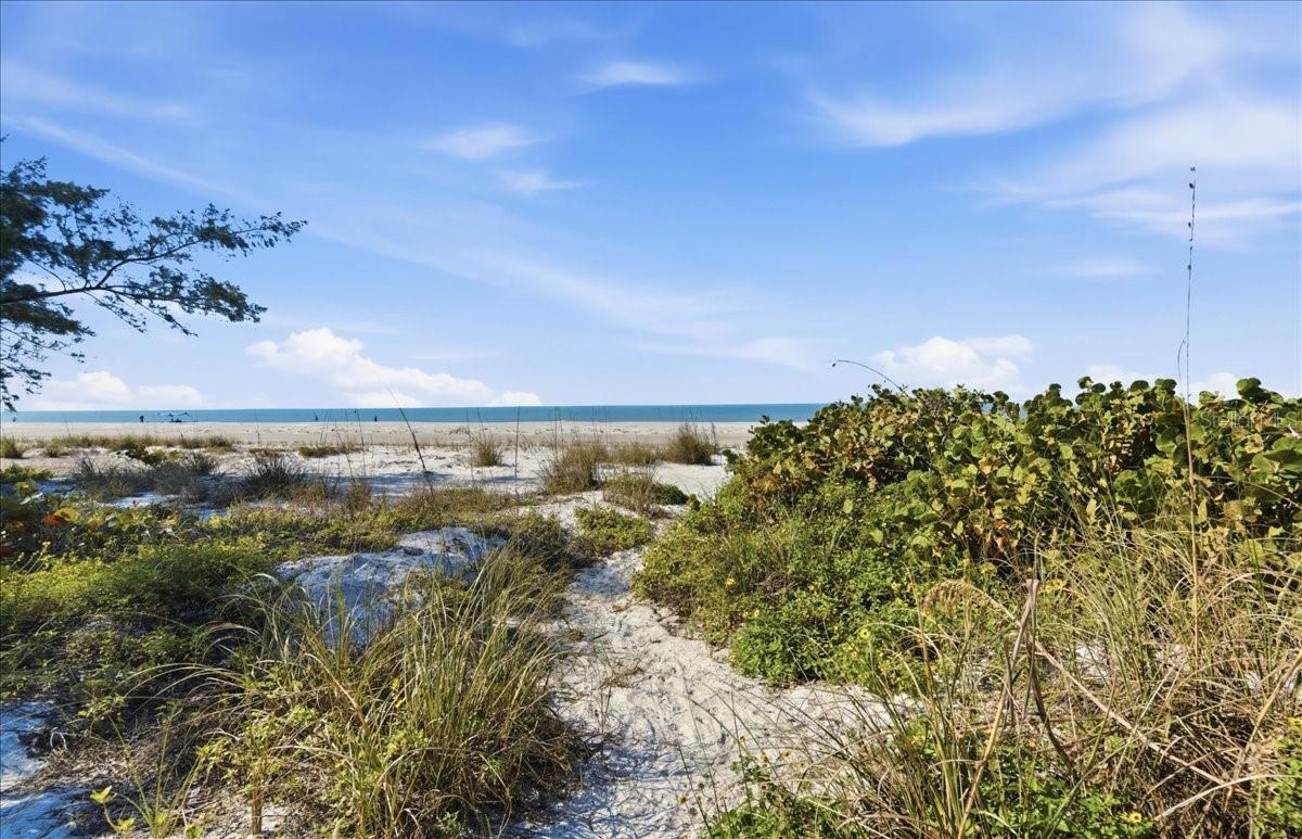 102 TUNA ST, ANNA MARIA, FL — photo 64