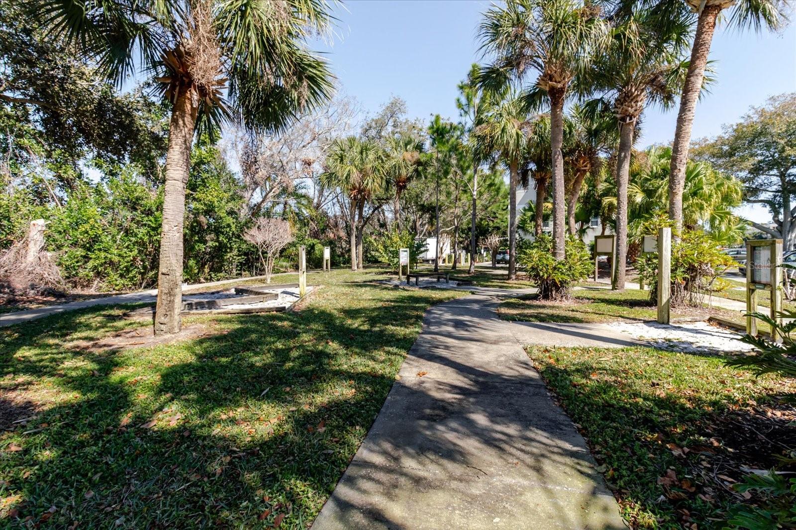 2209 UTOPIAN DR E #207, CLEARWATER, FL — photo 47