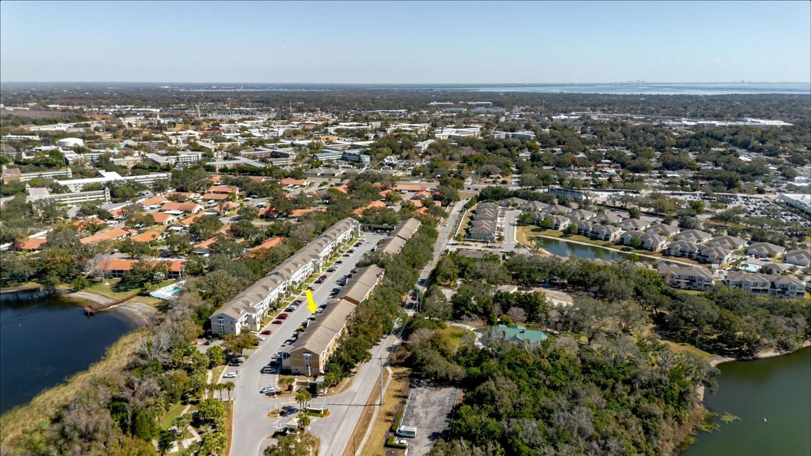2209 UTOPIAN DR E #207, CLEARWATER, FL — photo 58