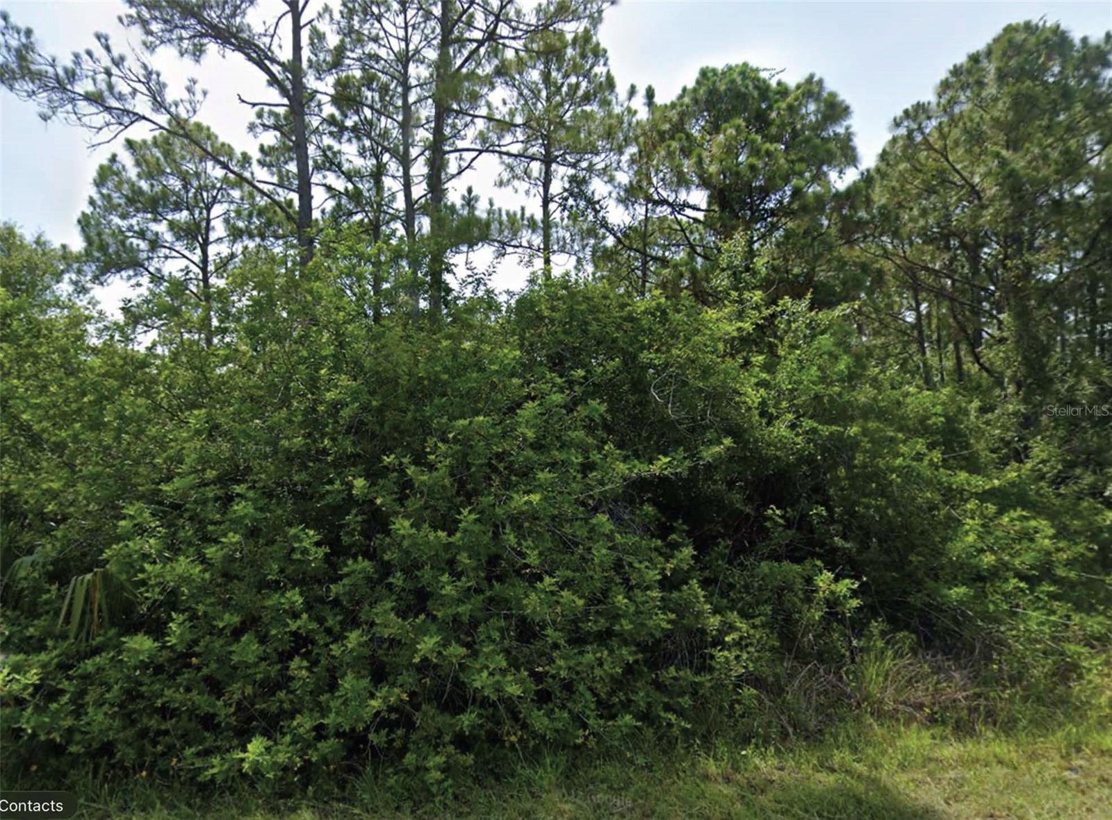 FLAMBEAU AVE, NORTH PORT, FL