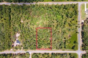 SAFFRON AVE, EUSTIS, FL — photo 8