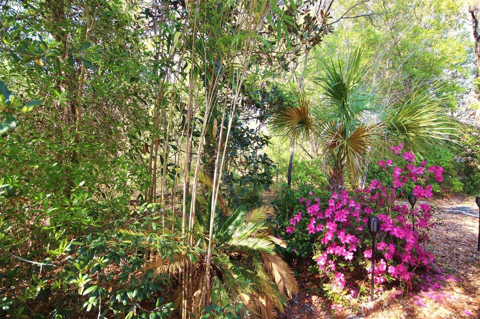 14 CARNATION CT, HOMOSASSA, FL — photo 28