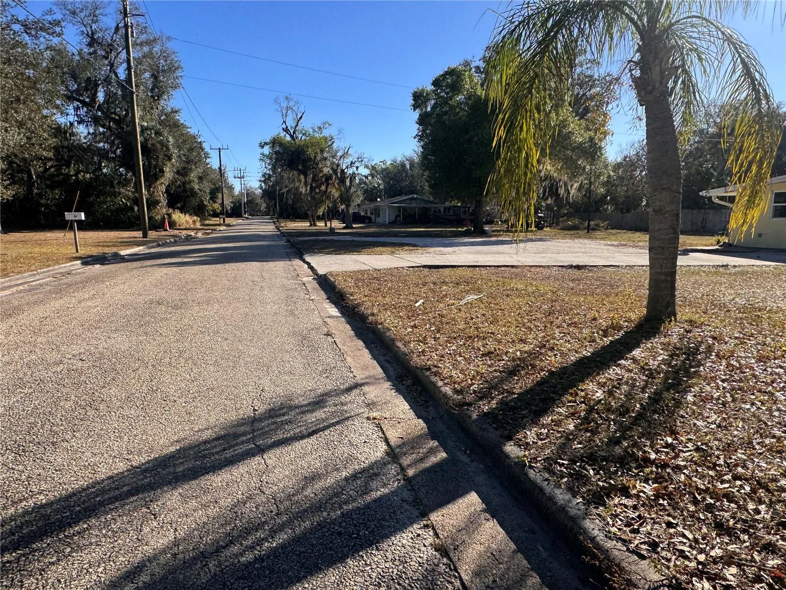 227 SMITH AVE, ARCADIA, FL — photo 8