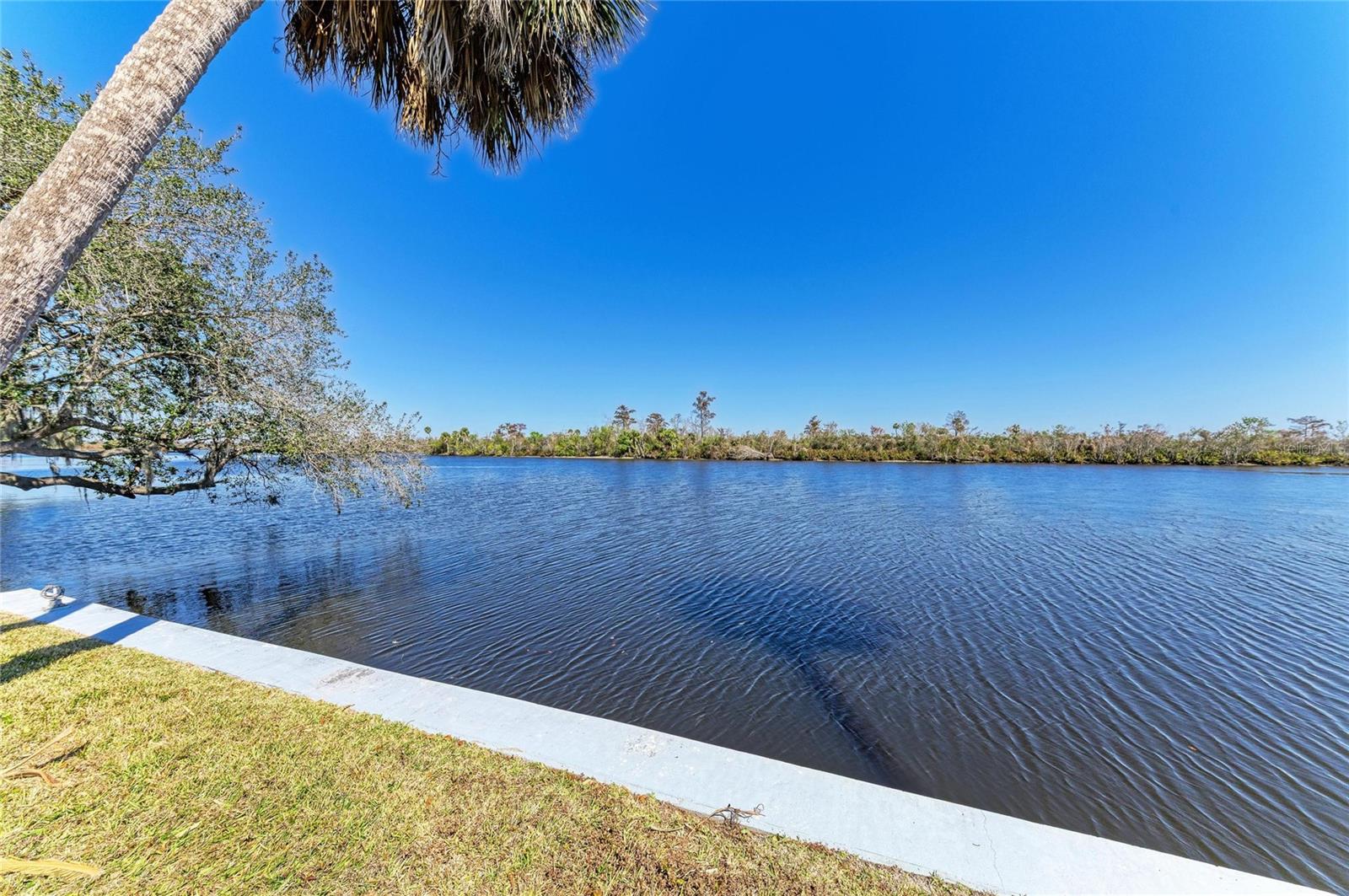 9610 SW YACHT DR, ARCADIA, FL — photo 59