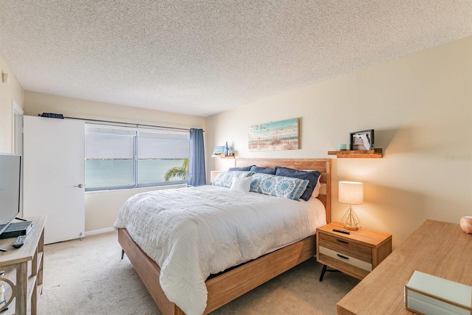 5541 PUERTA DEL SOL BLVD S #316, ST PETERSBURG, FL — photo 45