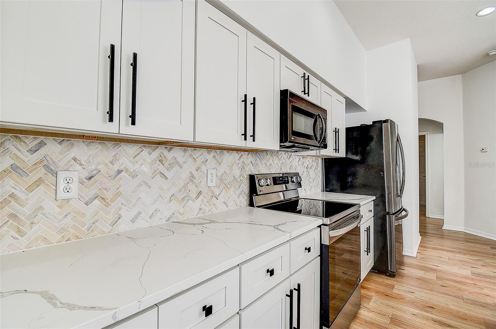 15906 PRINCE WILLIAM PL, ODESSA, FL — photo 11