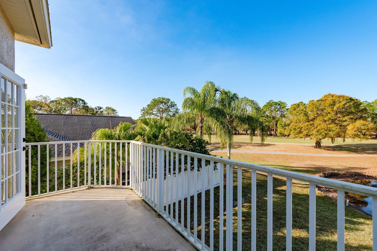 15906 PRINCE WILLIAM PL, ODESSA, FL — photo 42