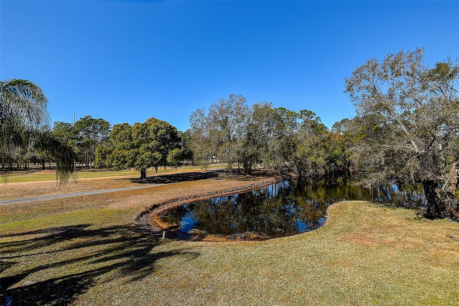 15906 PRINCE WILLIAM PL, ODESSA, FL — photo 44