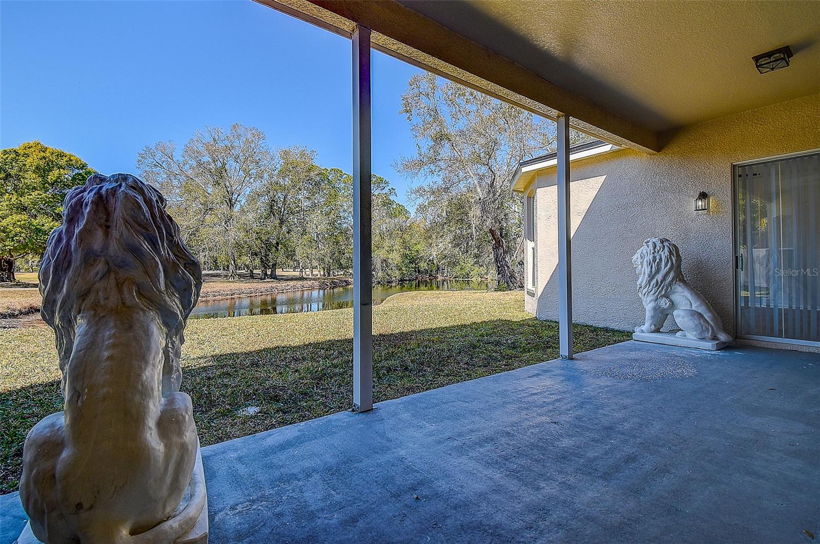 15906 PRINCE WILLIAM PL, ODESSA, FL — photo 60