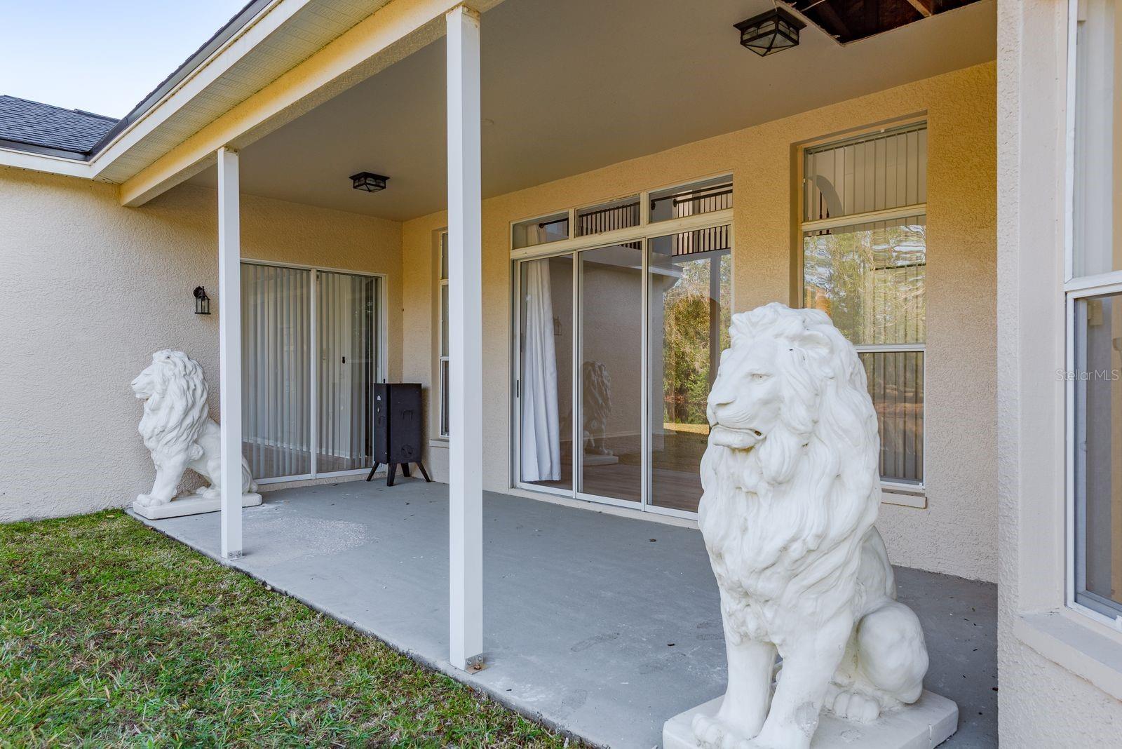 15906 PRINCE WILLIAM PL, ODESSA, FL — photo 62