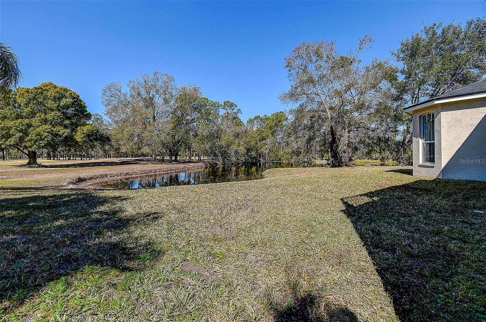 15906 PRINCE WILLIAM PL, ODESSA, FL — photo 63