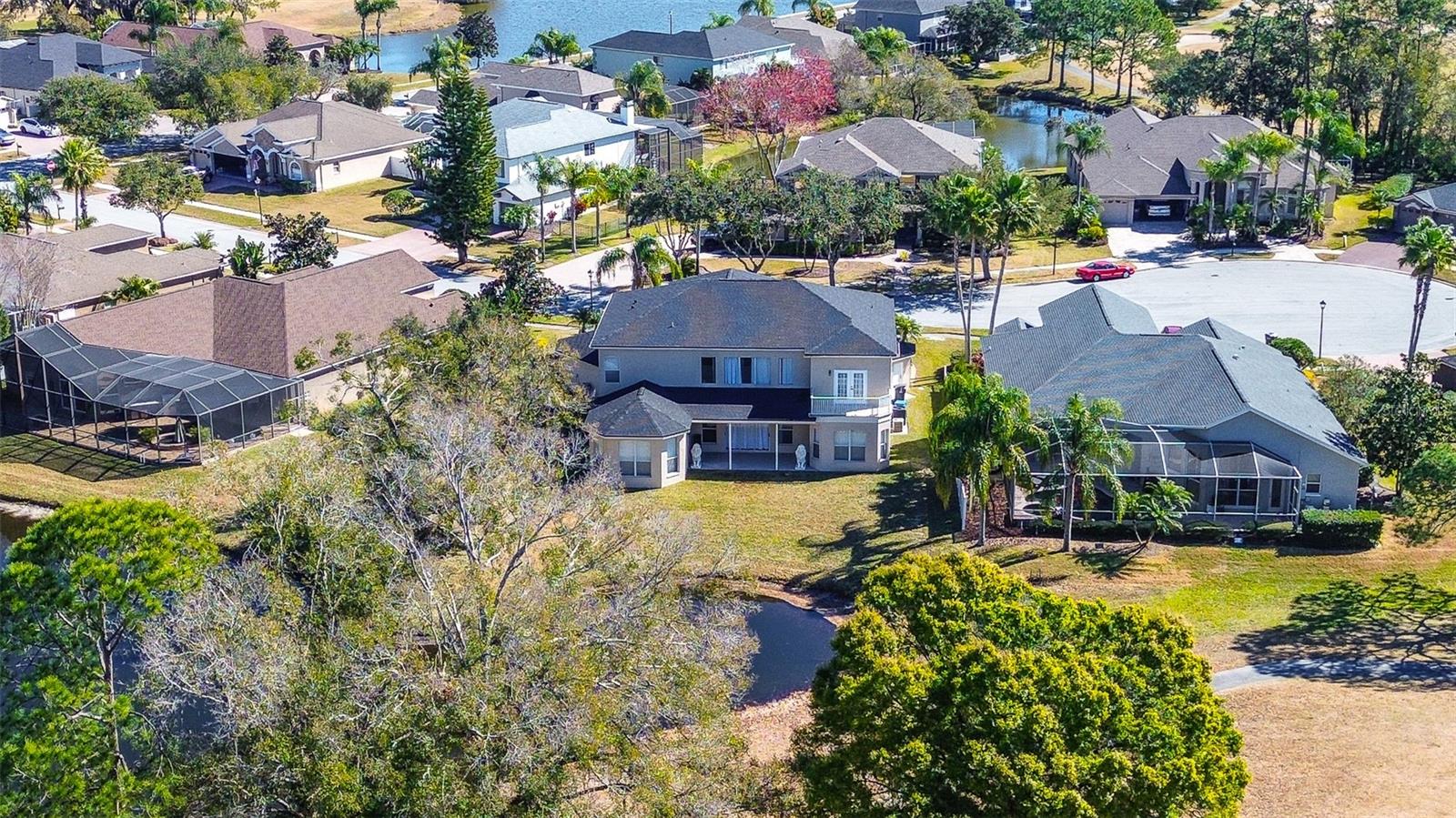 15906 PRINCE WILLIAM PL, ODESSA, FL — photo 65