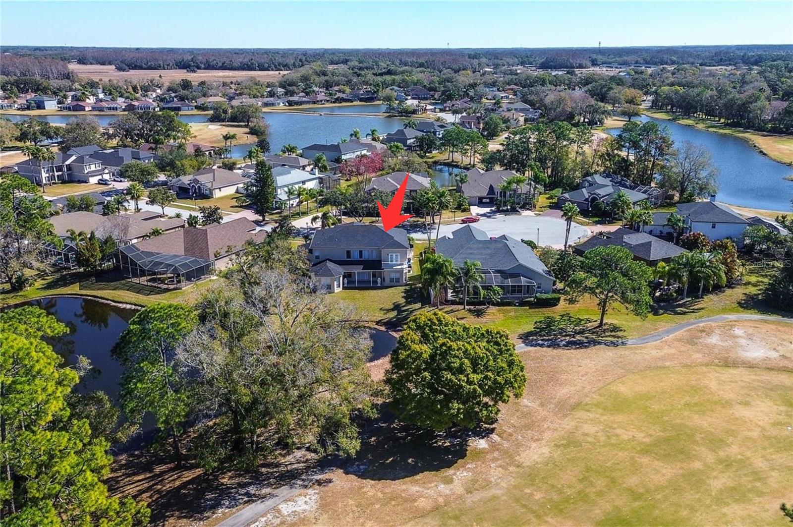 15906 PRINCE WILLIAM PL, ODESSA, FL — photo 66