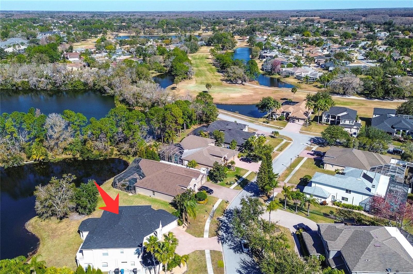 15906 PRINCE WILLIAM PL, ODESSA, FL — photo 67