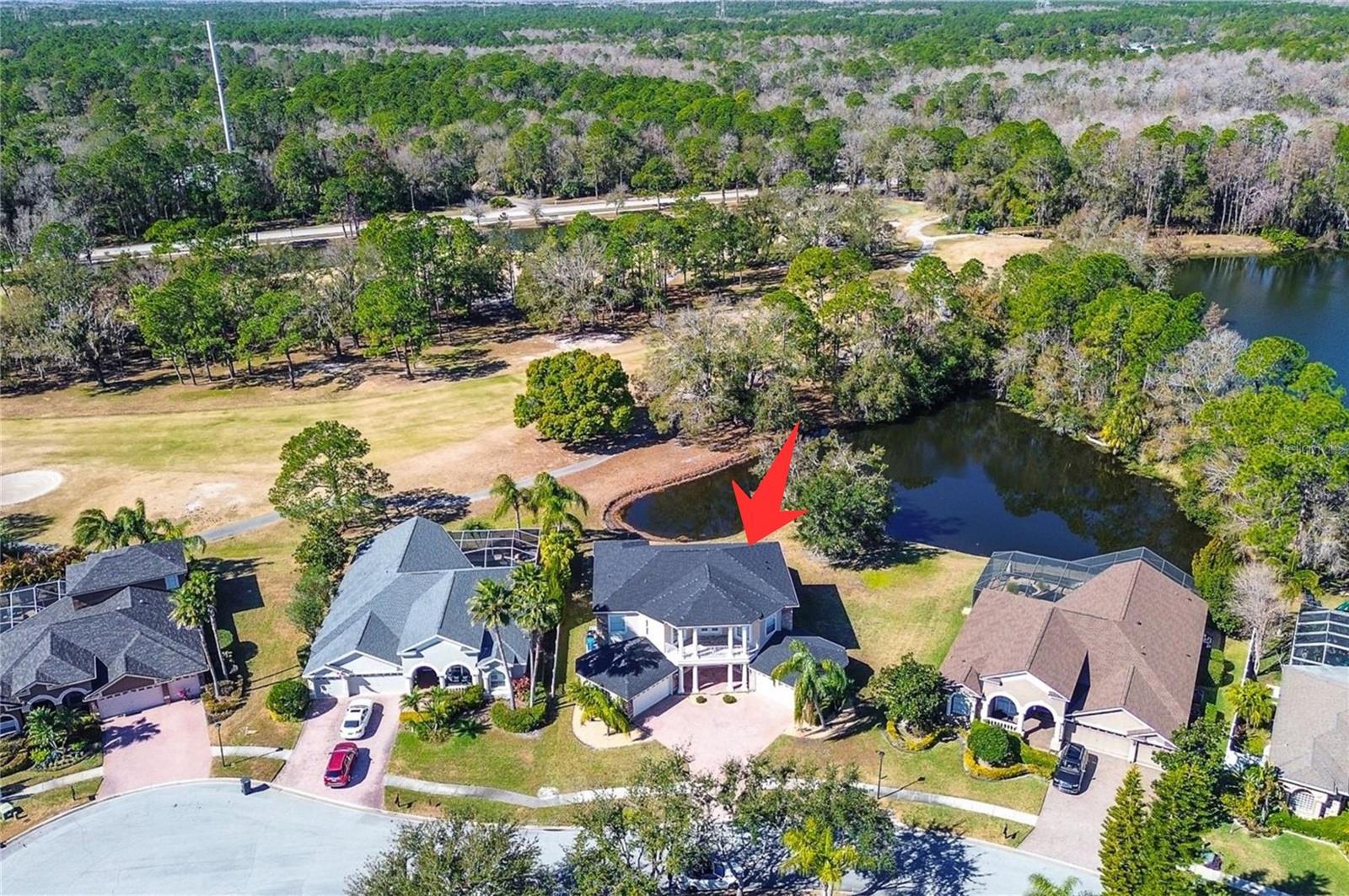 15906 PRINCE WILLIAM PL, ODESSA, FL — photo 69
