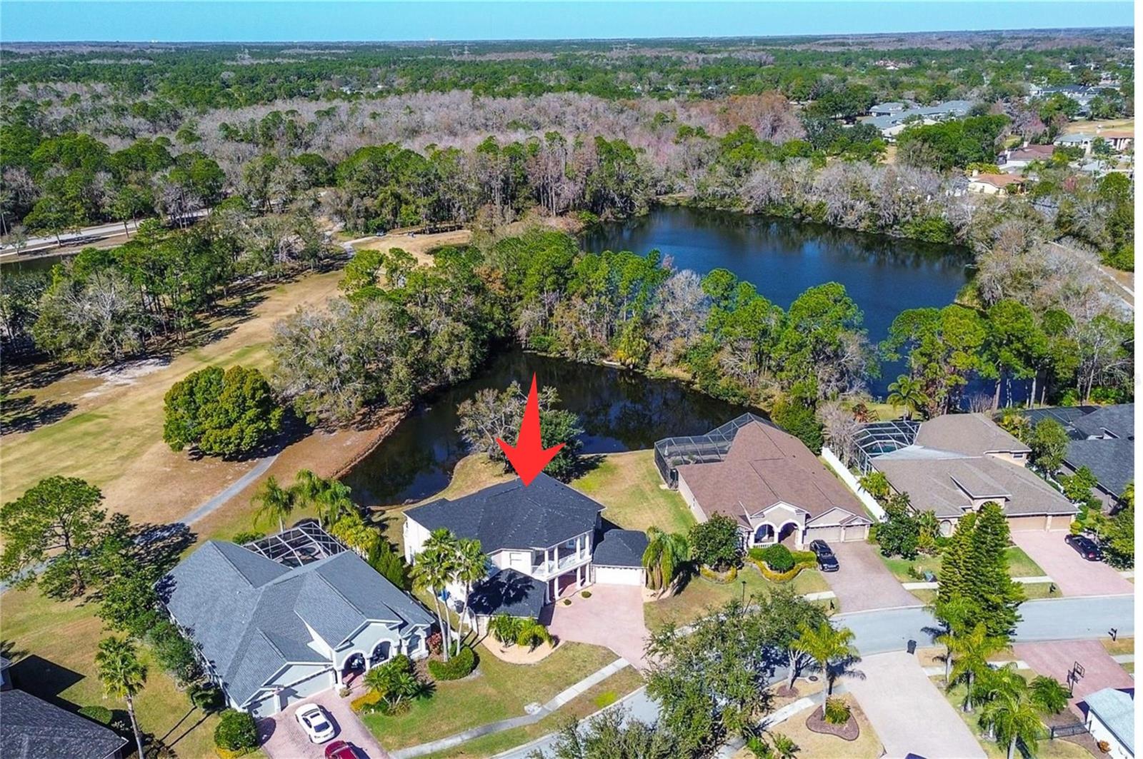 15906 PRINCE WILLIAM PL, ODESSA, FL — photo 70