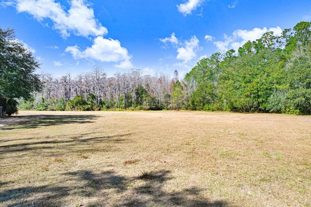 17308 TOBACCO RD, LUTZ, FL — photo 29