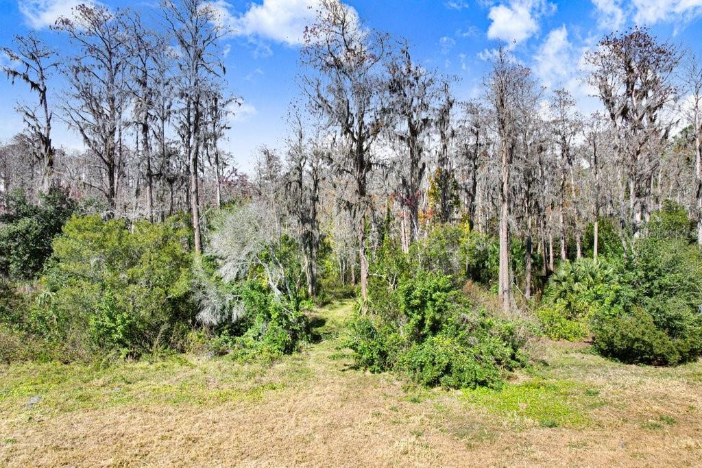 17308 TOBACCO RD, LUTZ, FL — photo 34