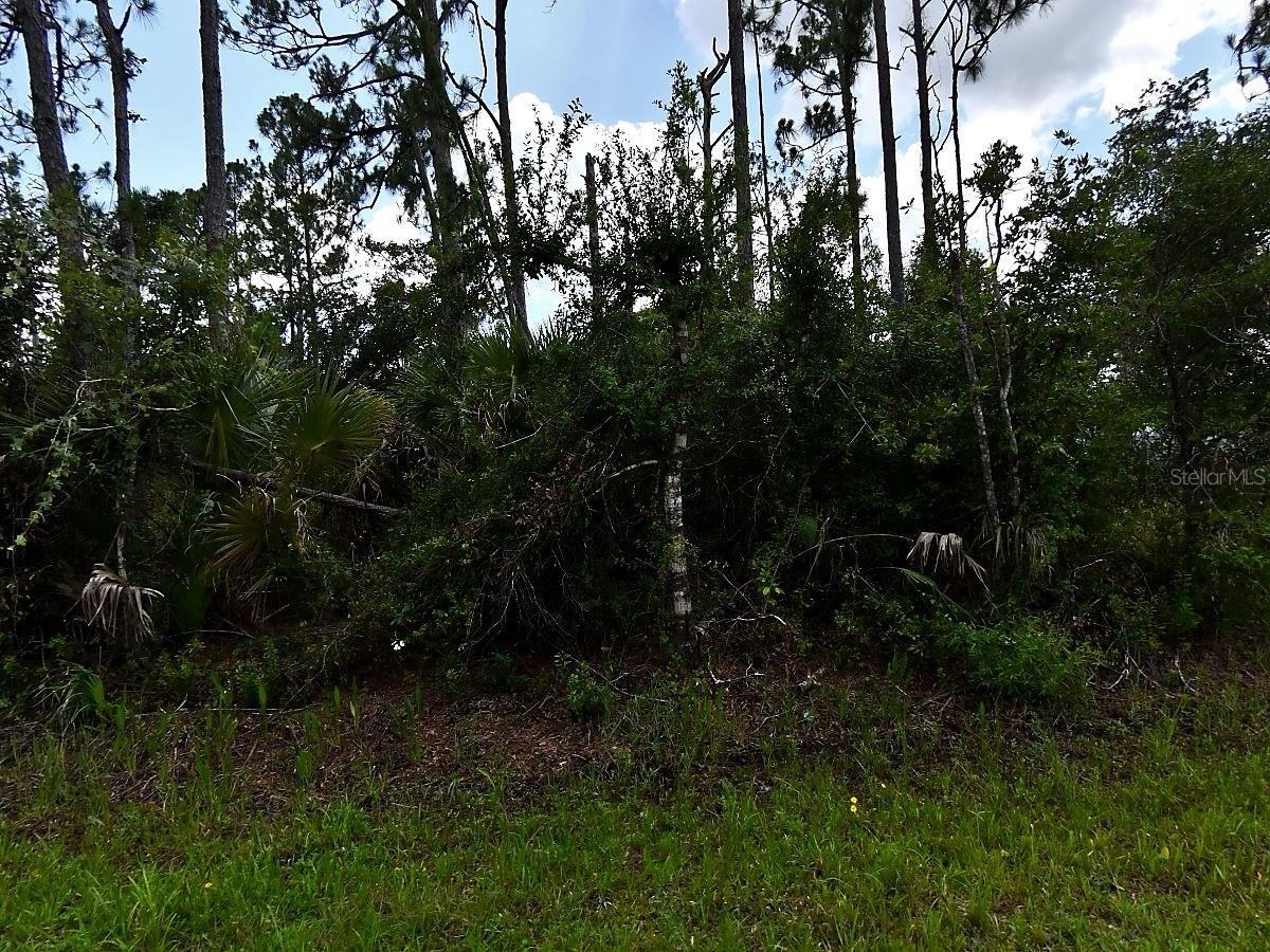 HACKLEY RD, NORTH PORT, FL — photo 5