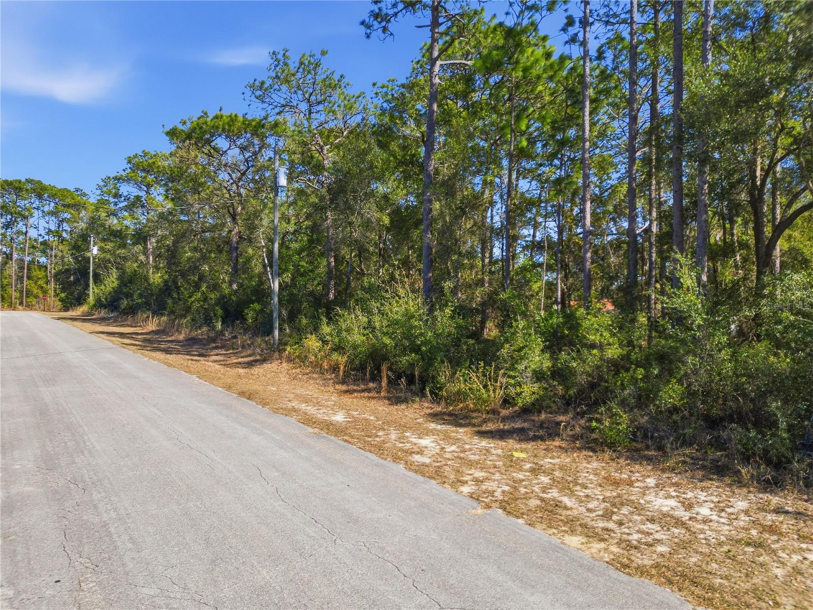 2780 W ELGIN PL, CITRUS SPRINGS, FL — photo 5