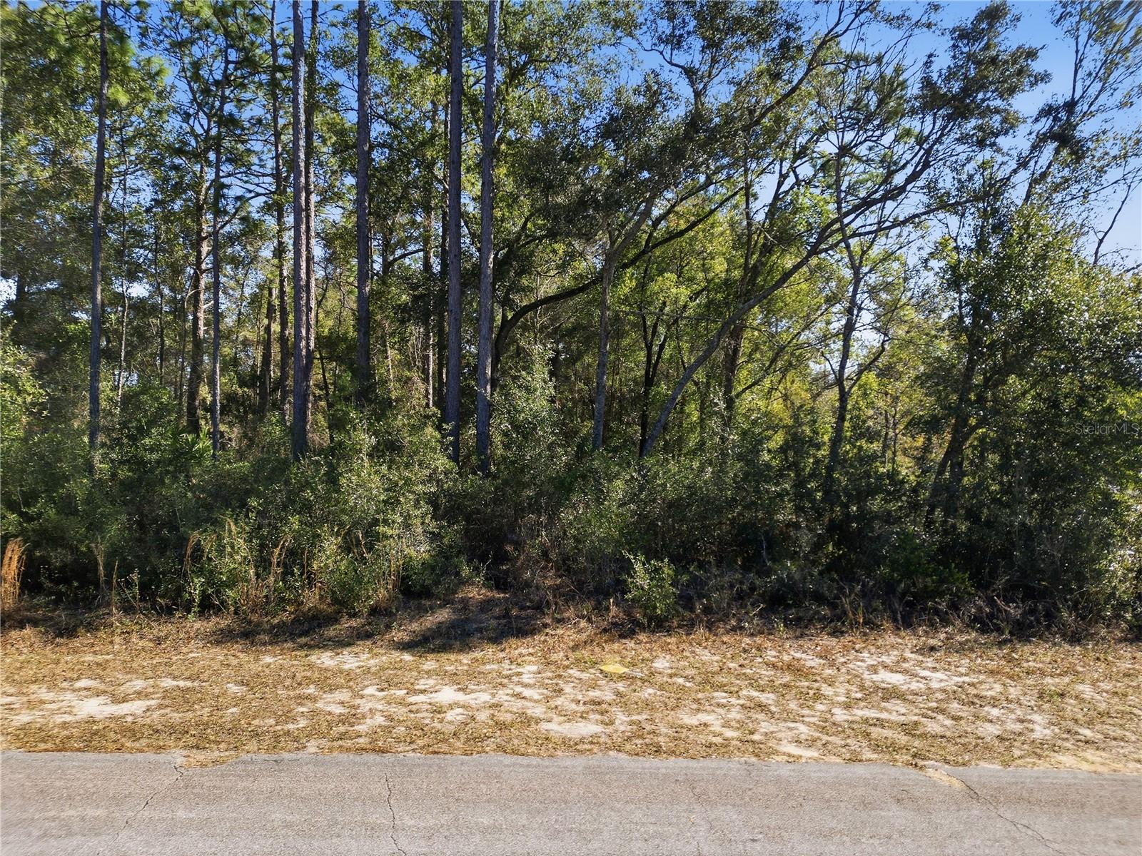 2780 W ELGIN PL, CITRUS SPRINGS, FL — photo 11